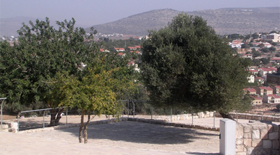 Synagogue in Zippori