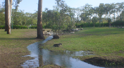 Yarkon River National Park