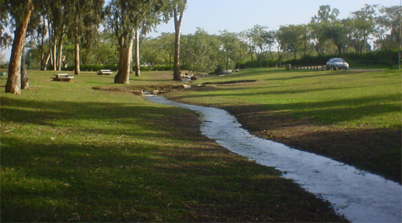 Yarkon River National Park