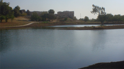 Yarkon River National Park