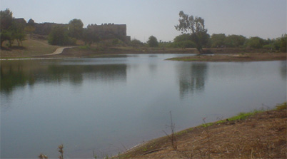 Yarkon River National Park