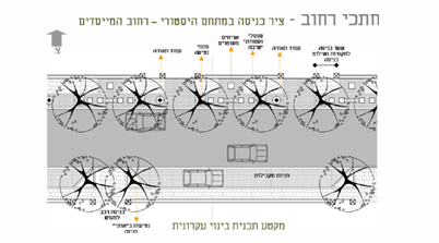 הנחיות נופיות למושבה עתלית