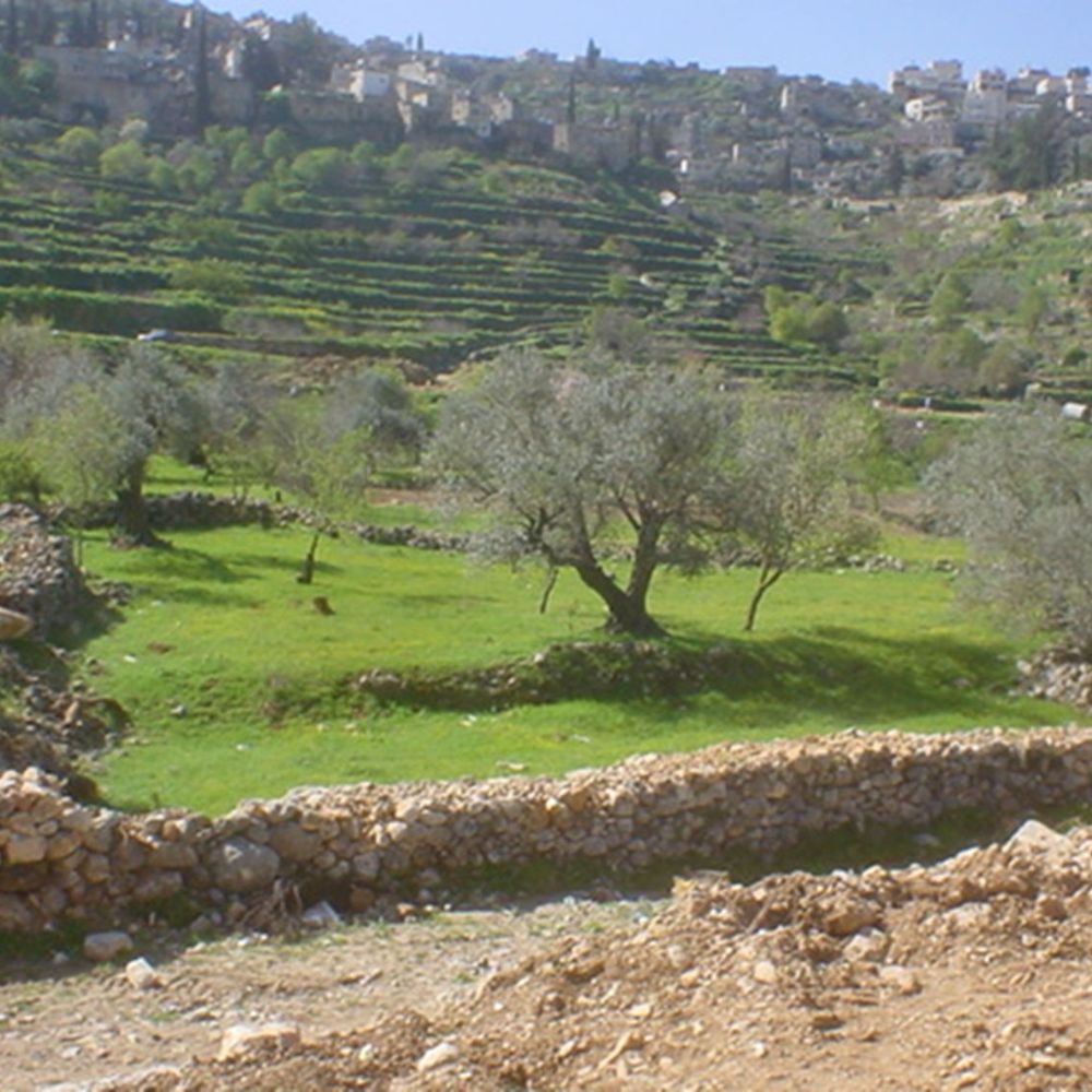 שיקום נופי רכבת נען ירושלים